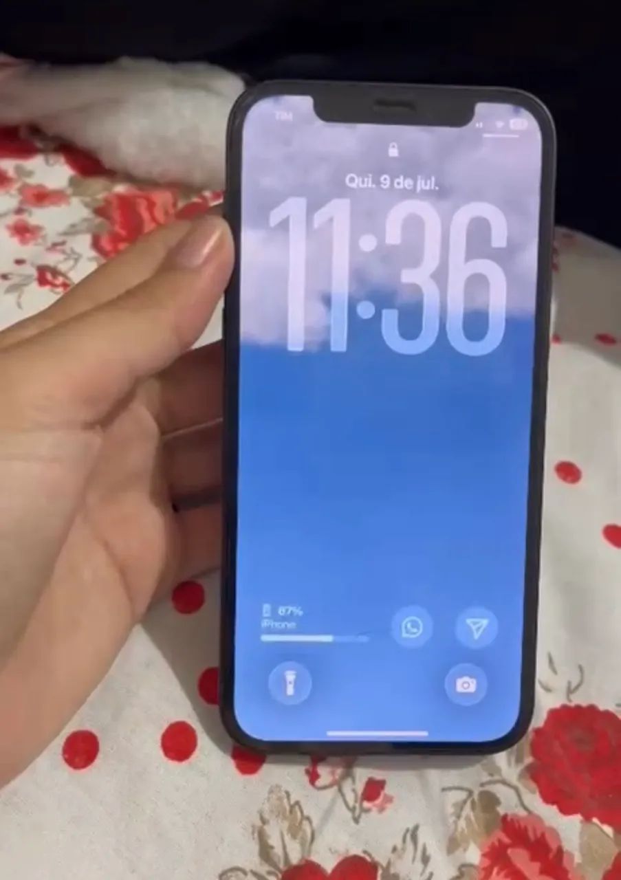 Iphone 12 / 128GB