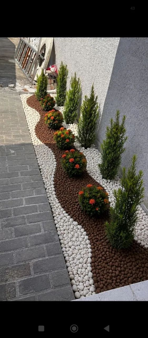 Jardinagem  - Foto 2