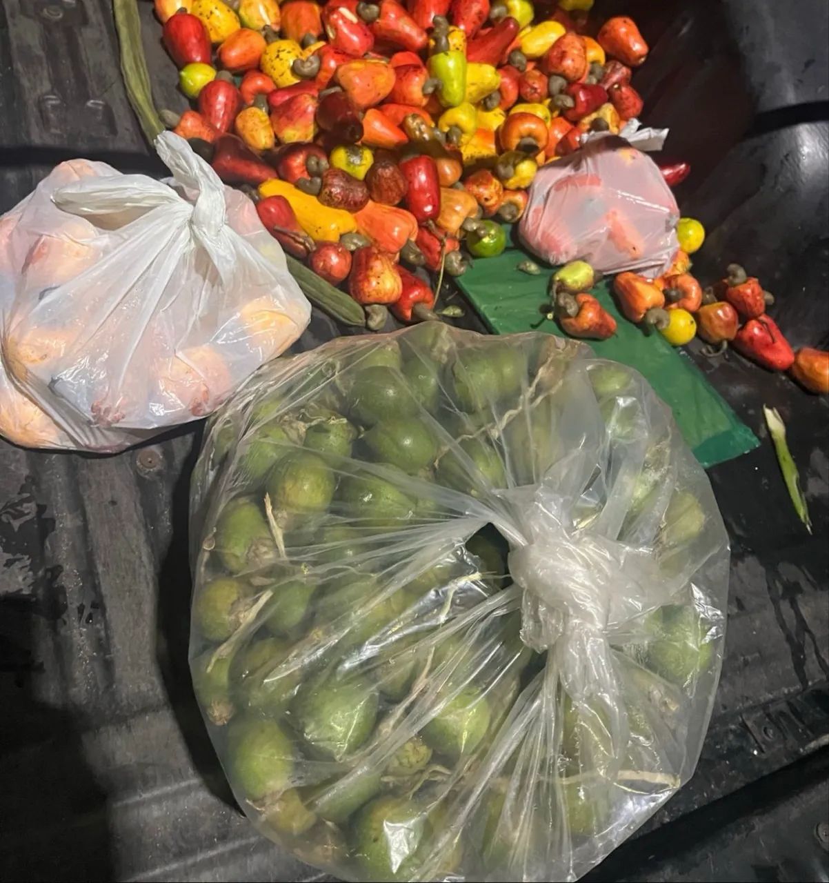 Vendo lindo sítio com bastante fruteiras  - Foto 4