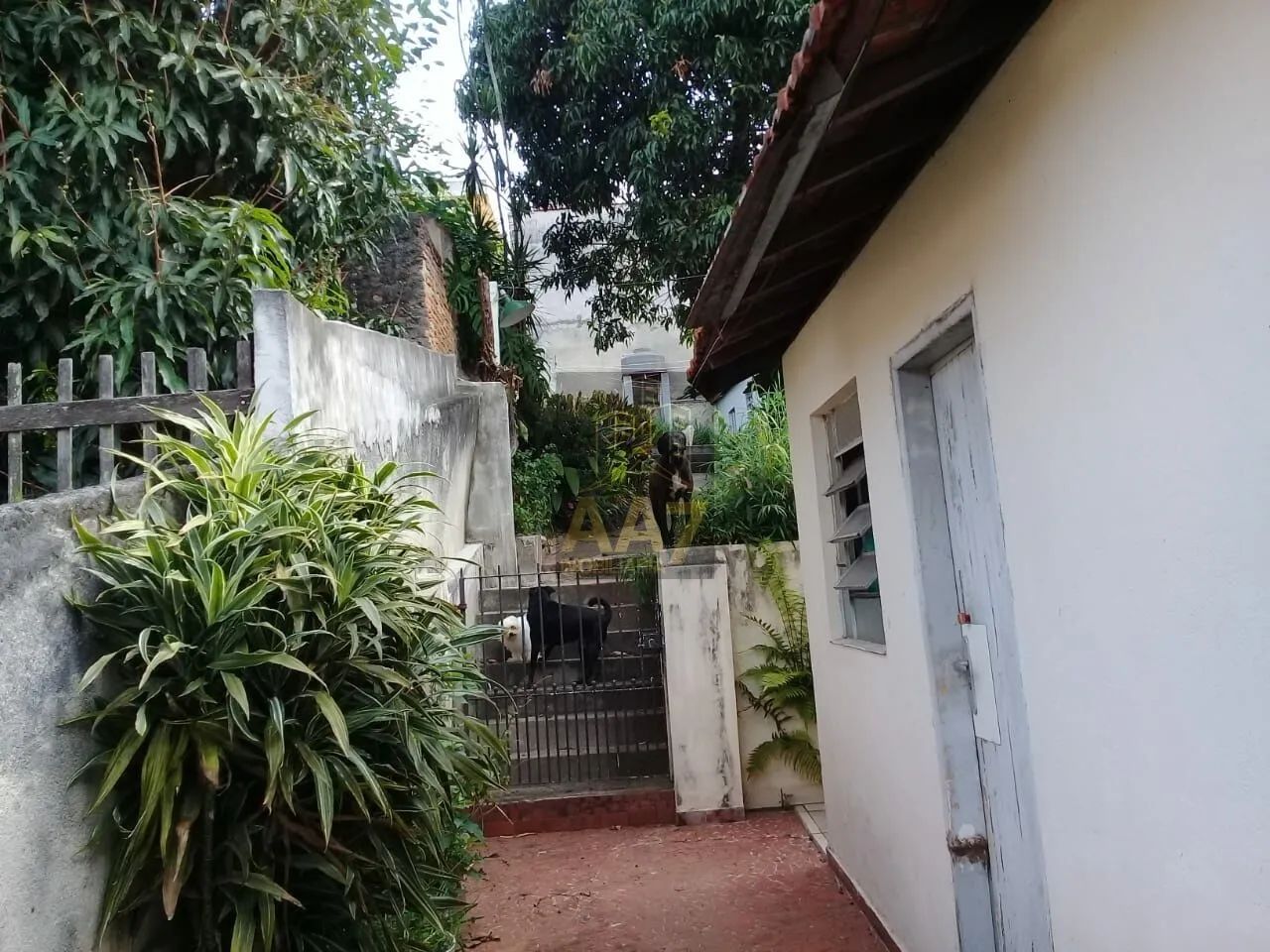 Casa a Venda, para investimento. - Foto 5