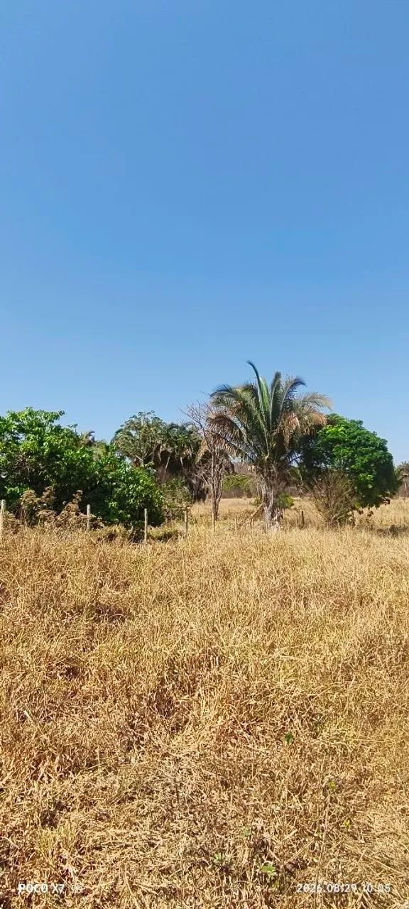 Vendo um terreno - Foto 4