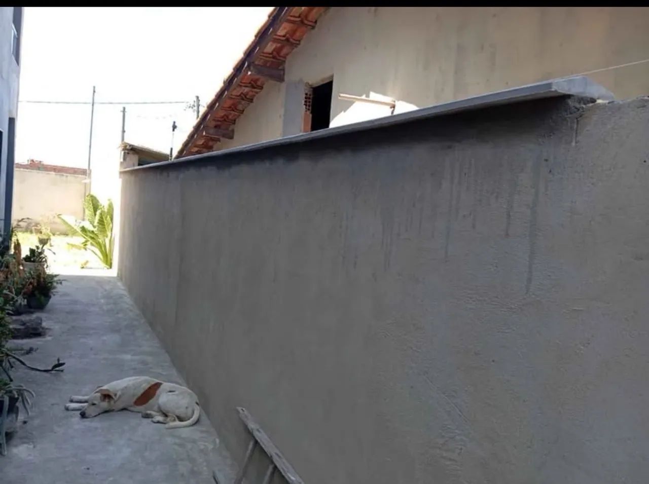 Pingadeiras para Muro  - Foto 4