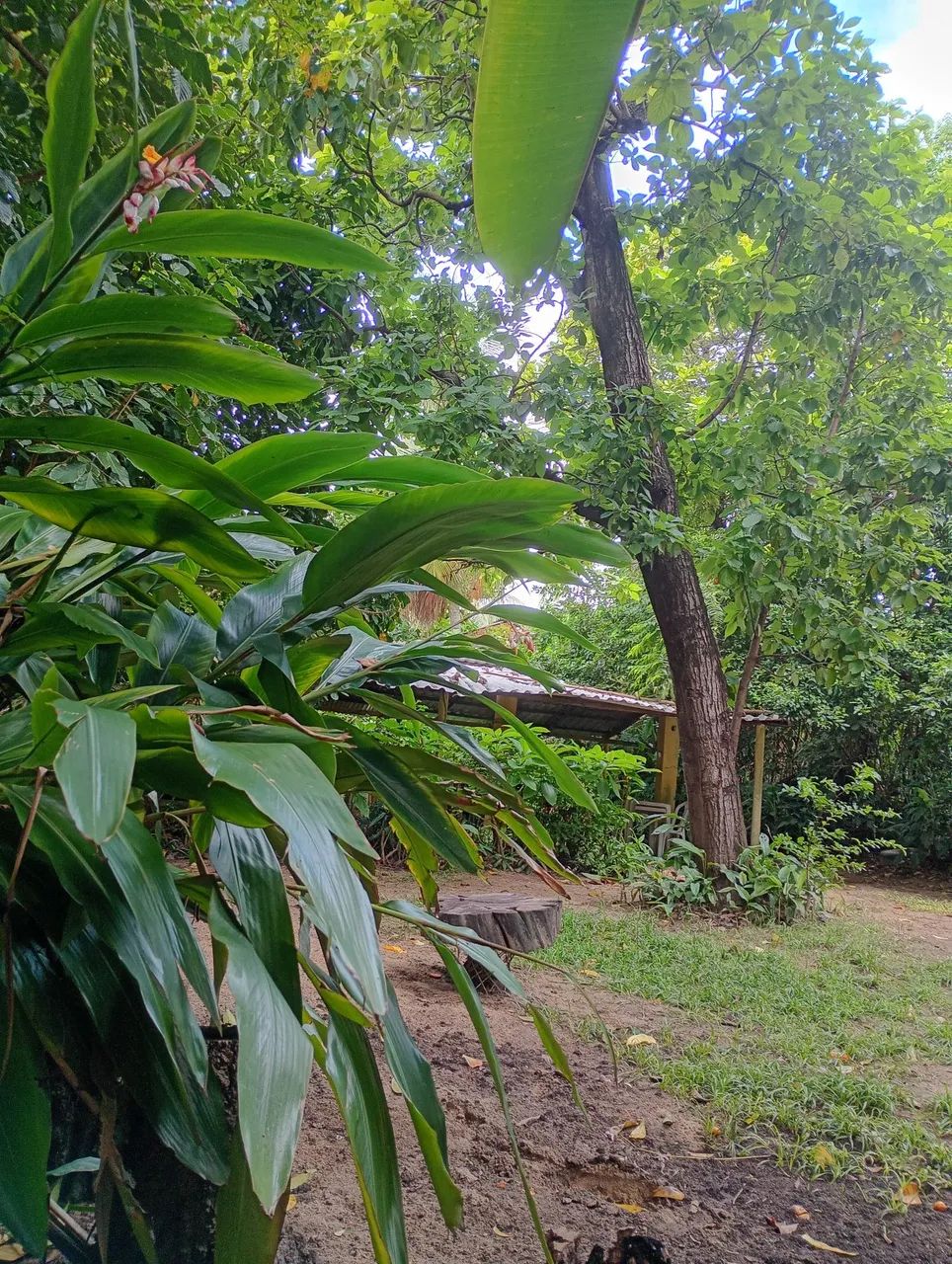 Terreno em Olinda Rio doce  - Foto 3
