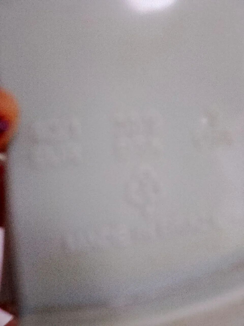  *zap dou endereço - Foto 2