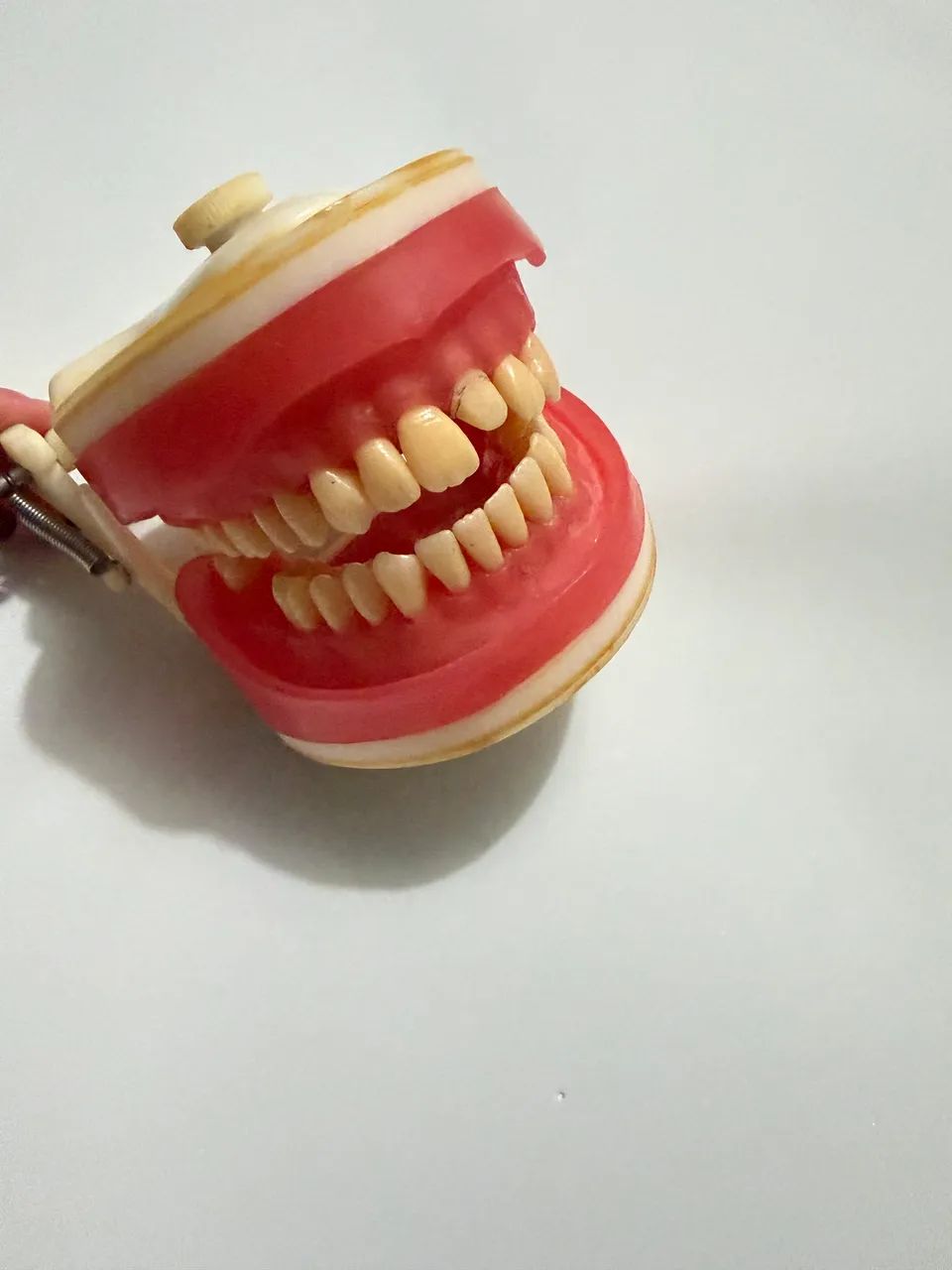 Manequim Odontológico  - Foto 4
