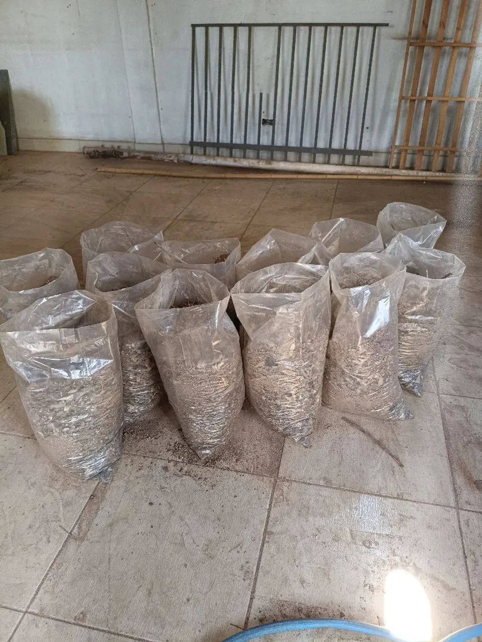Vendo esterco de galinha puro  - Foto 2