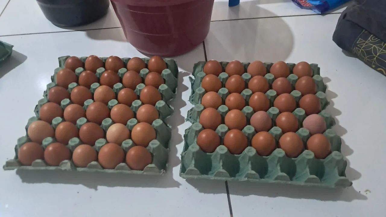 Ovos caipira 