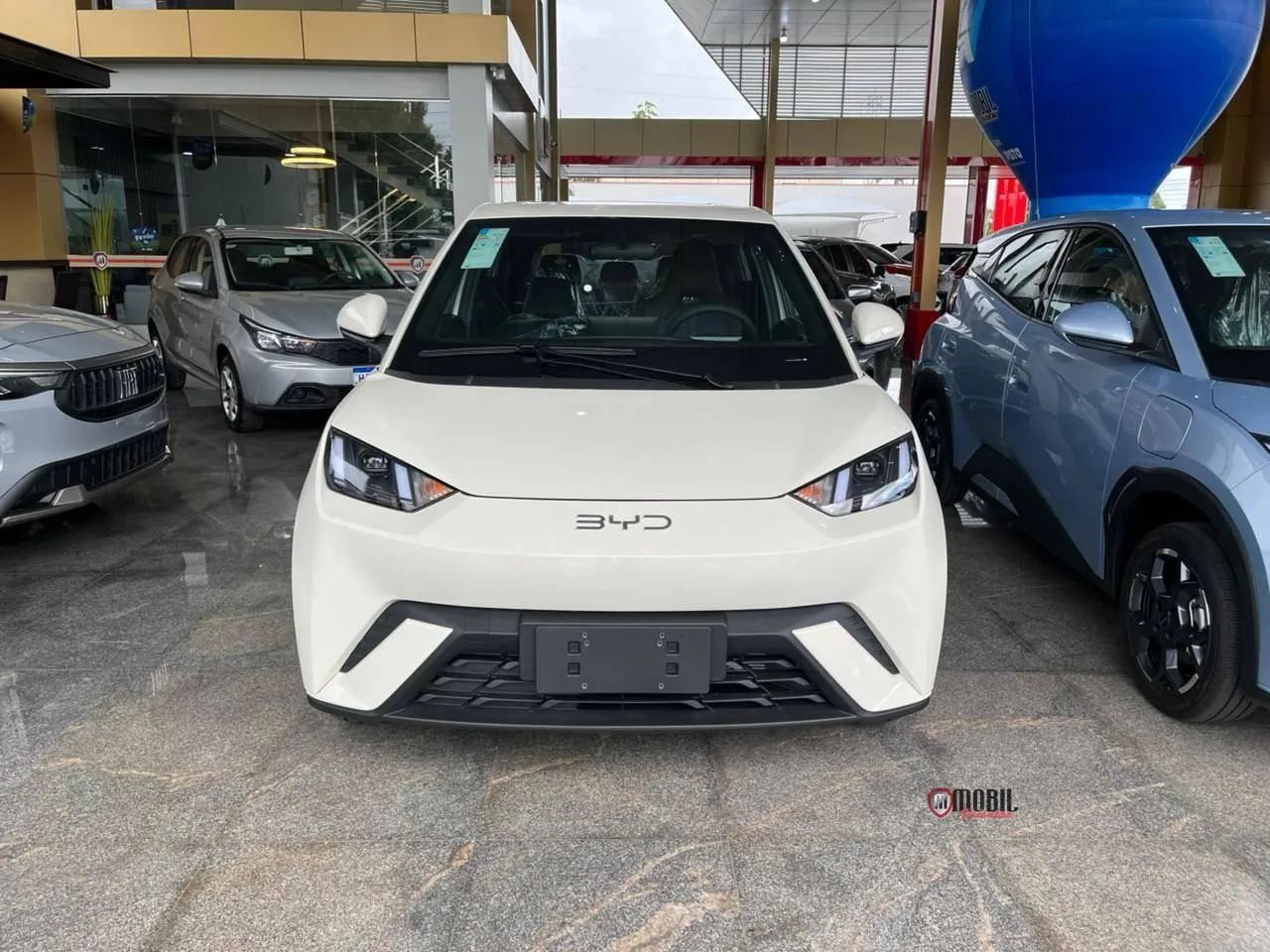 BYD Dolphin Mini GL 2026 - Foto 2