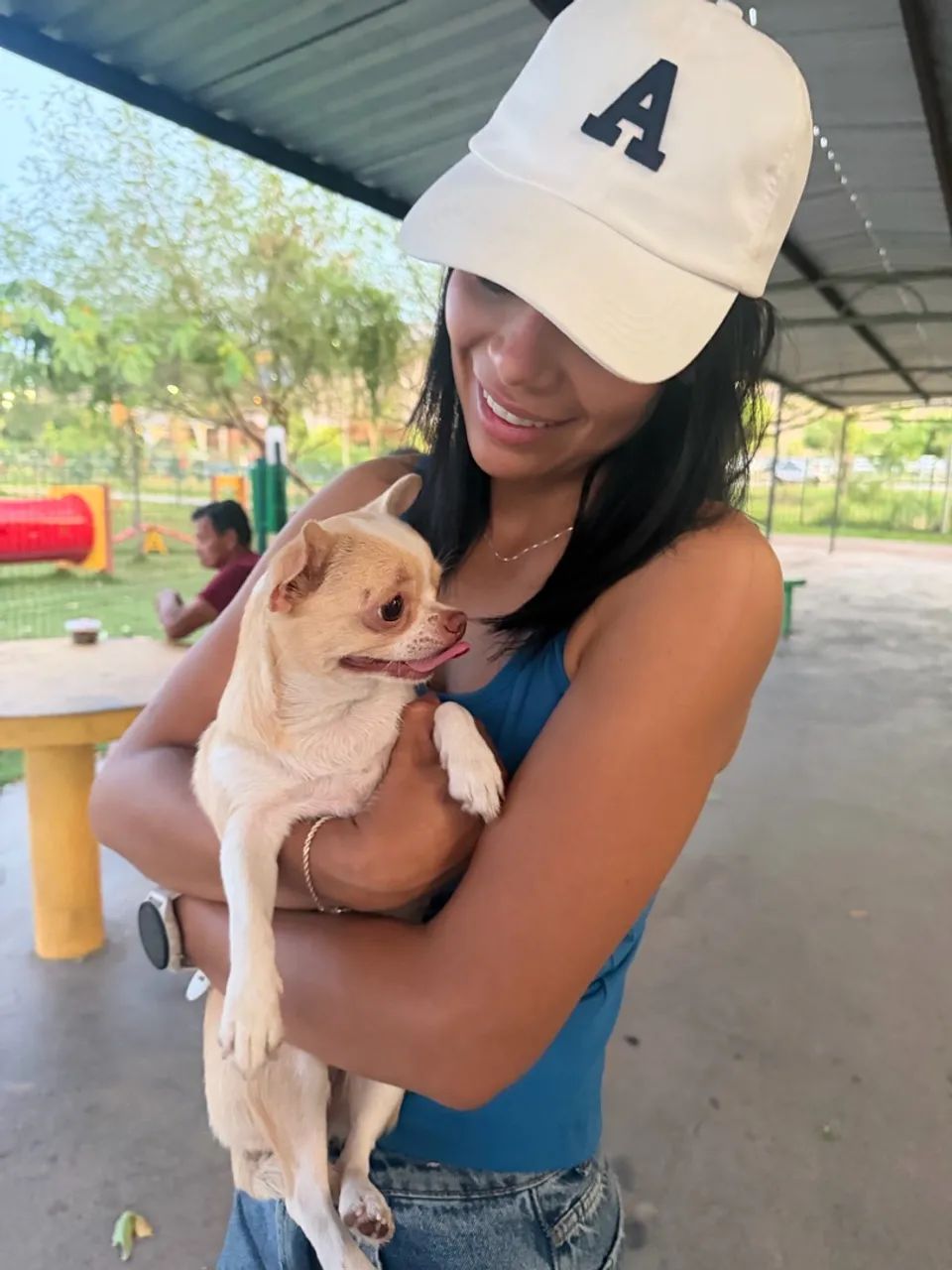 Cachorro - Foto 3