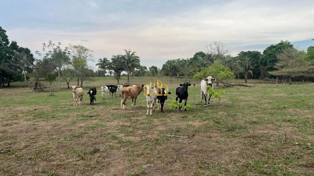 FAZENDA Á VENDA EM POXORÉU - MT - Foto 2