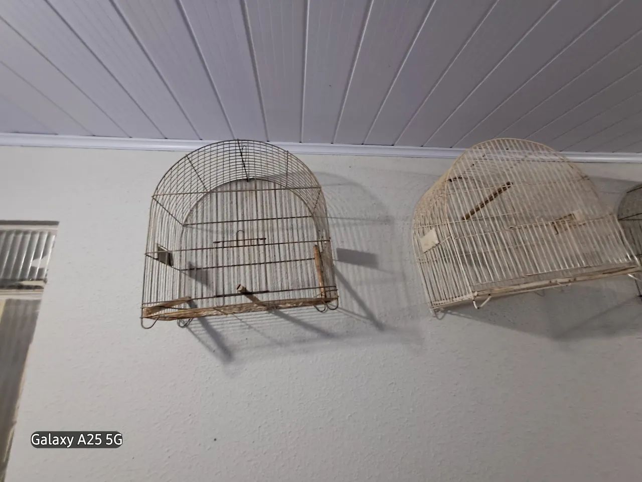 Gaiolas 
