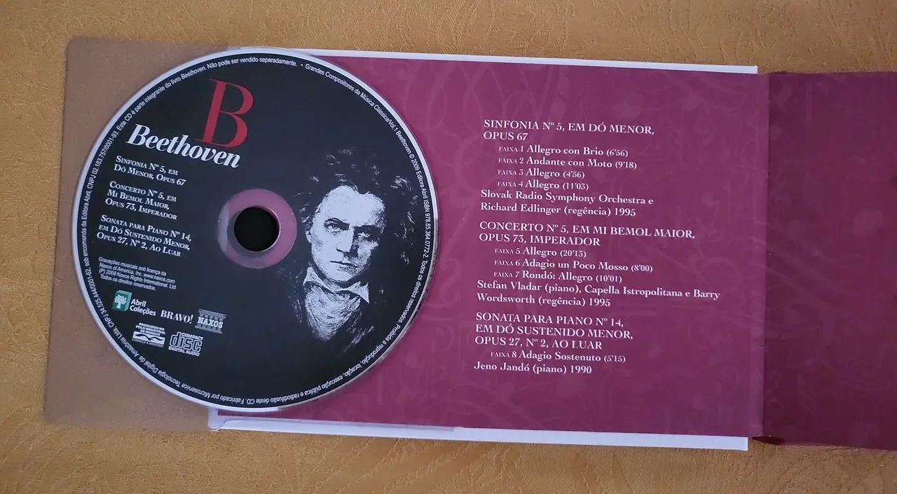 Beethoven - grandes compositores da música classica - Foto 2