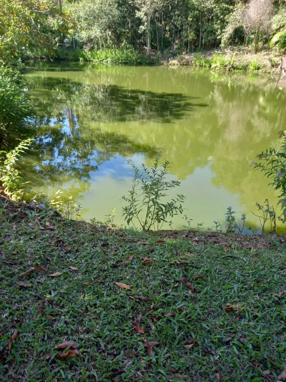 Chácara a venda  - Foto 5