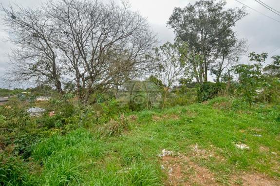 Terreno à venda em Jardim do rocio, Almirante tamandaré cod:154410 - Foto 14