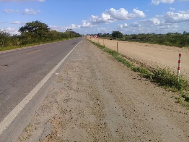 Excelente área de terra com 19.600 metros quadrados na BR 116 Norte - Foto 10