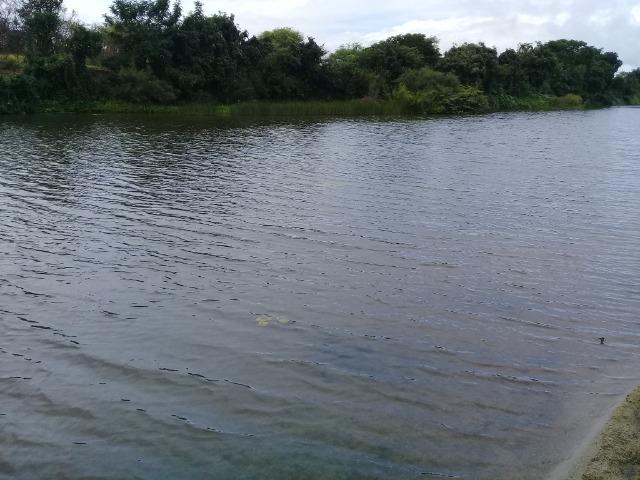 Excelente propriedade de 340 tarefas de terras margeando o rio Sacraiú