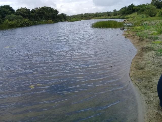 Excelente propriedade de 340 tarefas de terras margeando o rio Sacraiú - Foto 2