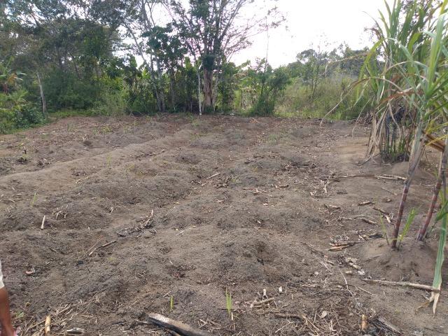 Sítio em Porto Seguro - Foto 13