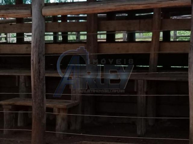 Fazenda/com um projeto que da valorização as terras - Foto 6