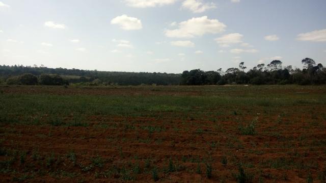 Fazenda na chapada diamantina - Foto 11