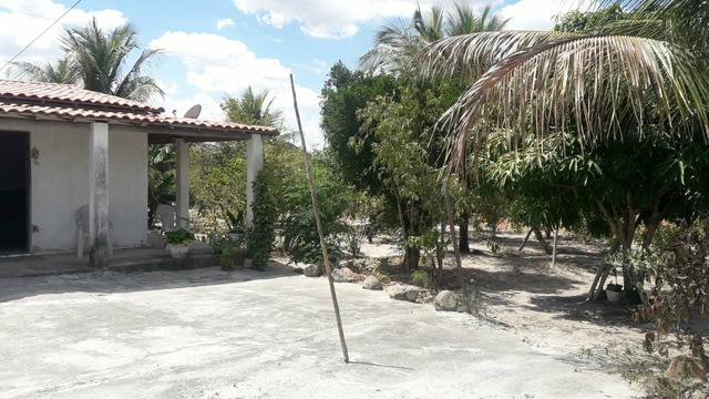 Sítio de 01 tarefa murado por 90 mil - Foto 3