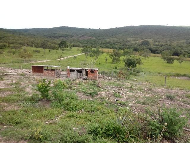 Fazenda 22 alqueires - Foto 9