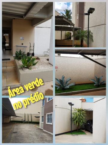 Apartamento - Foto 2