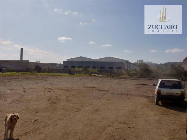 Terreno industrial para locação, vila nova bonsucesso, guarulhos - te0408. - Foto 6