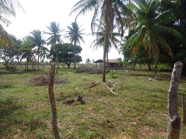 Vendo Granja em Touros-49 hectares-Escritura Publica-1500 pé de Coqueiros-Pau-Caju