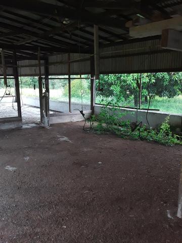 Propriedade Rural com estruta para criação de aves - Foto 3