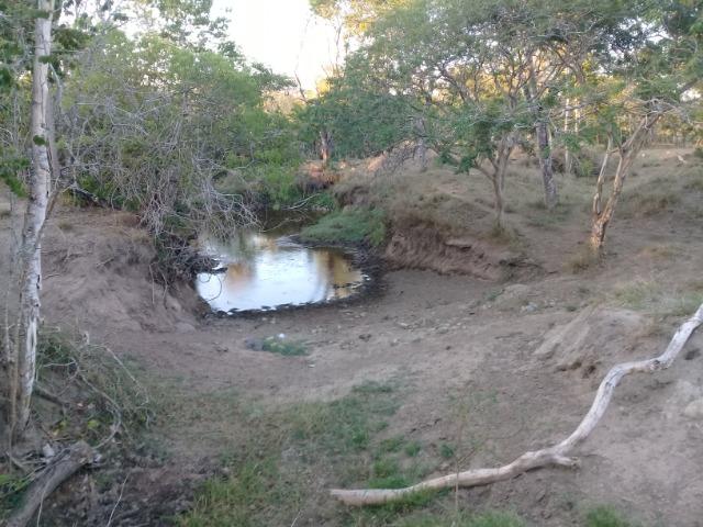 Lindíssima Fazendinha na região rural de Antonio Cardoso Bahia - Foto 4