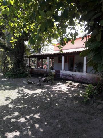 Ótima oportunidade sitio - Foto 12