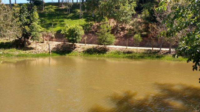 Sítio 4 Hectares - Casa de 3 Quartos - 5 Açudes - Galpão - São Sebastião - Treze de Maio - Foto 7