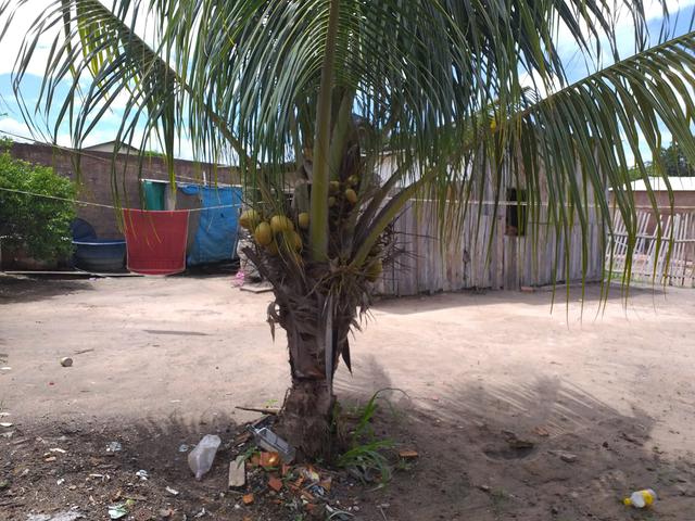 Vendo um terreno - Foto 6