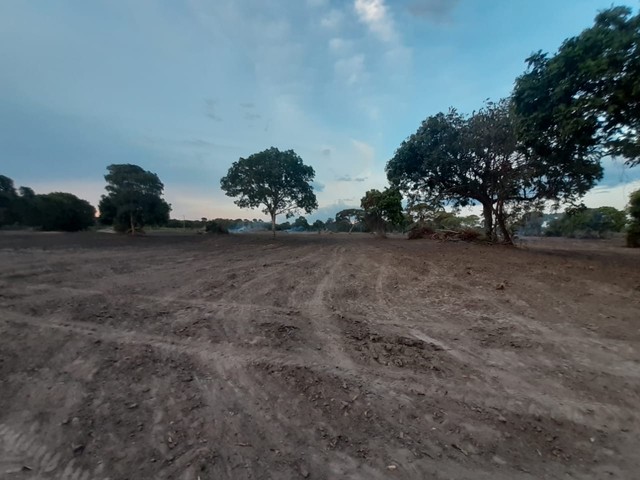 40 Alqueires em cocalinho Mt  - Foto 5