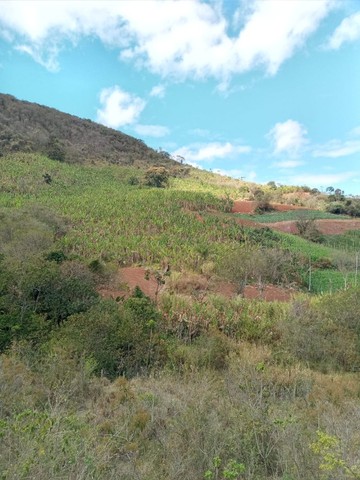 Vendo Excelente Terreno 35 hectares em Maria da Fé Sul de Minas Gerais - Foto 15