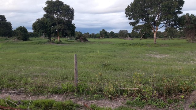 40 Alqueires em cocalinho Mt 