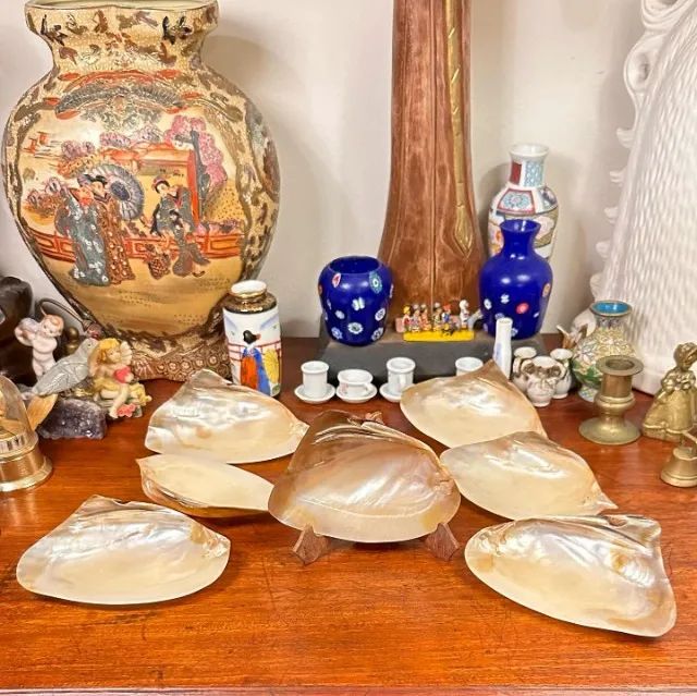 Conjunto com 07 conchas em madrepérola para caviar.