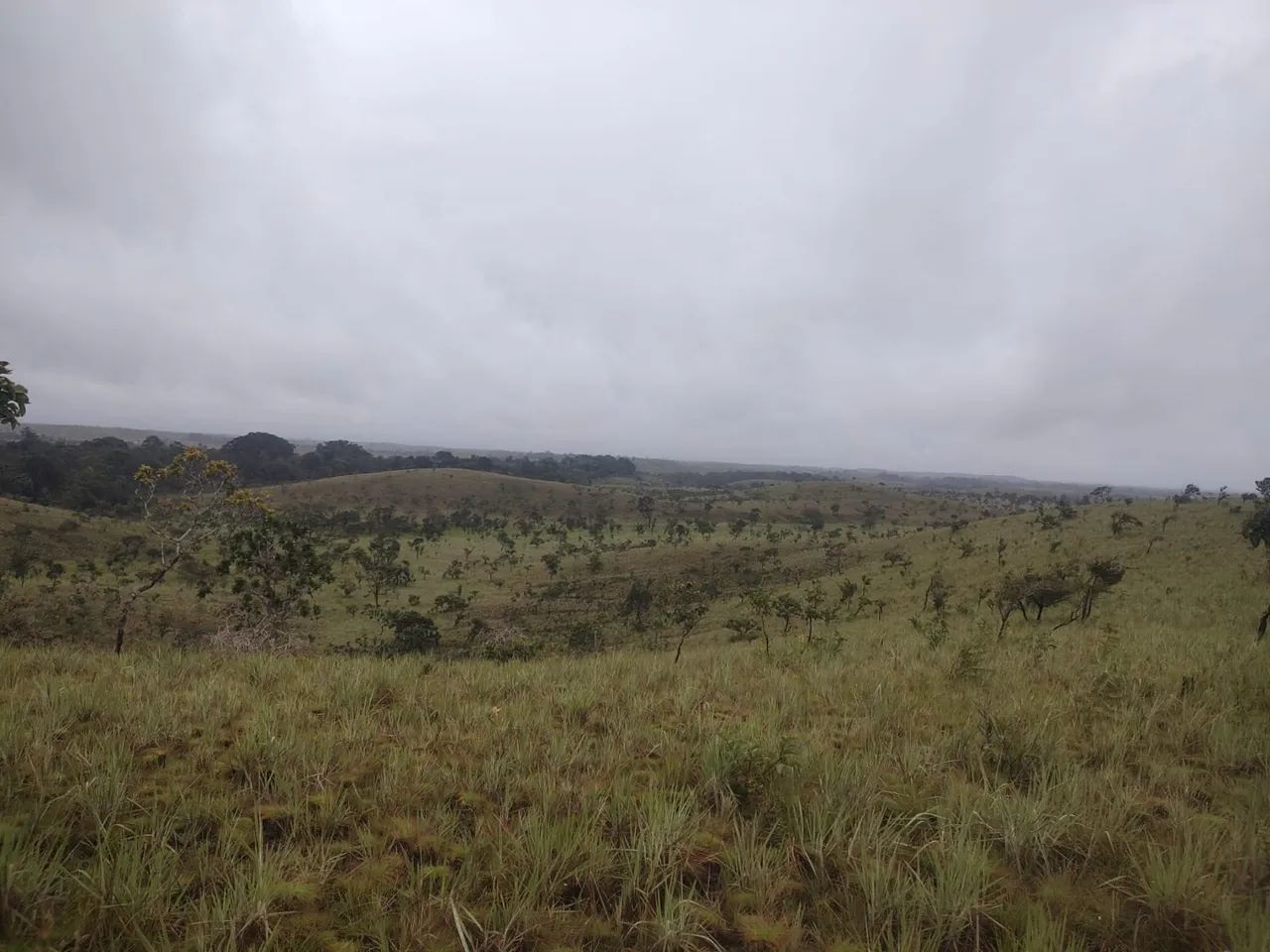 Área Rural a 140 km de Macapá, as margens da BR 156 - Foto 2