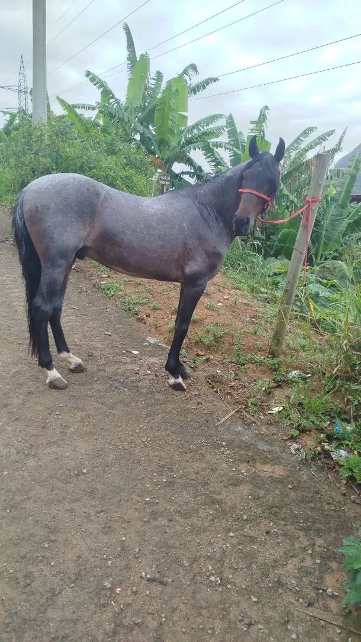 TROCO POR MOTO XRE ACIMA DE 2017 - Foto 4