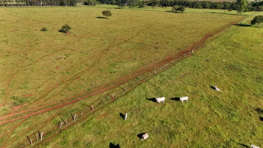 Chácara com 16 Hectares com Córrego em Campo Grande MS! - Foto 3