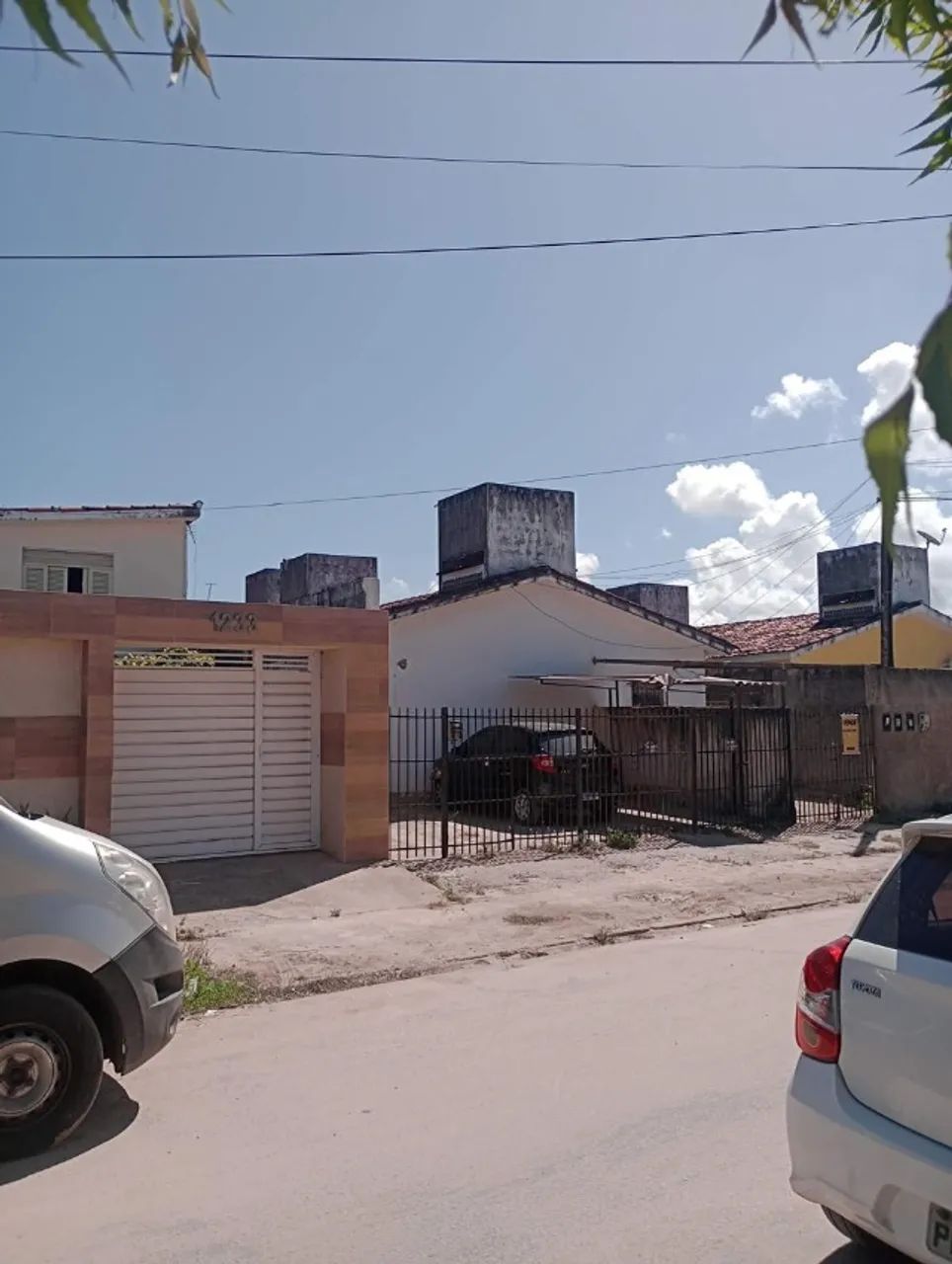 Foto - Paulista - Pau Amarelo