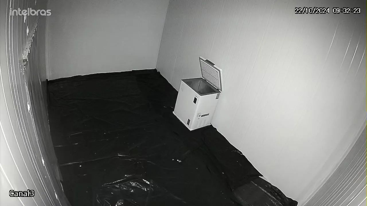 Aluga se camara frigorifica 