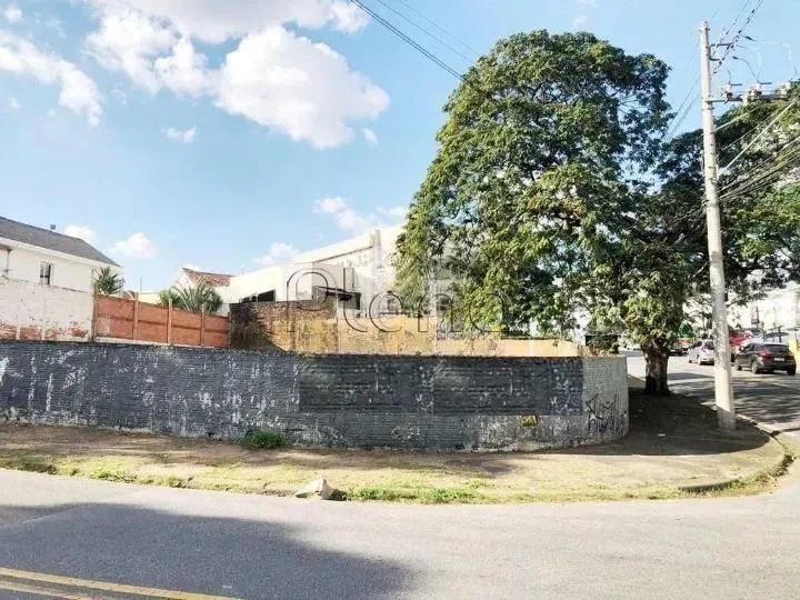 Terreno à venda e para alugar em Campinas, Nova Campinas, com 925 m² - Foto 2