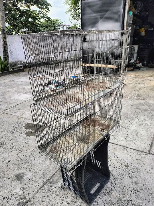 Gaiola criadeiras  - Foto 4