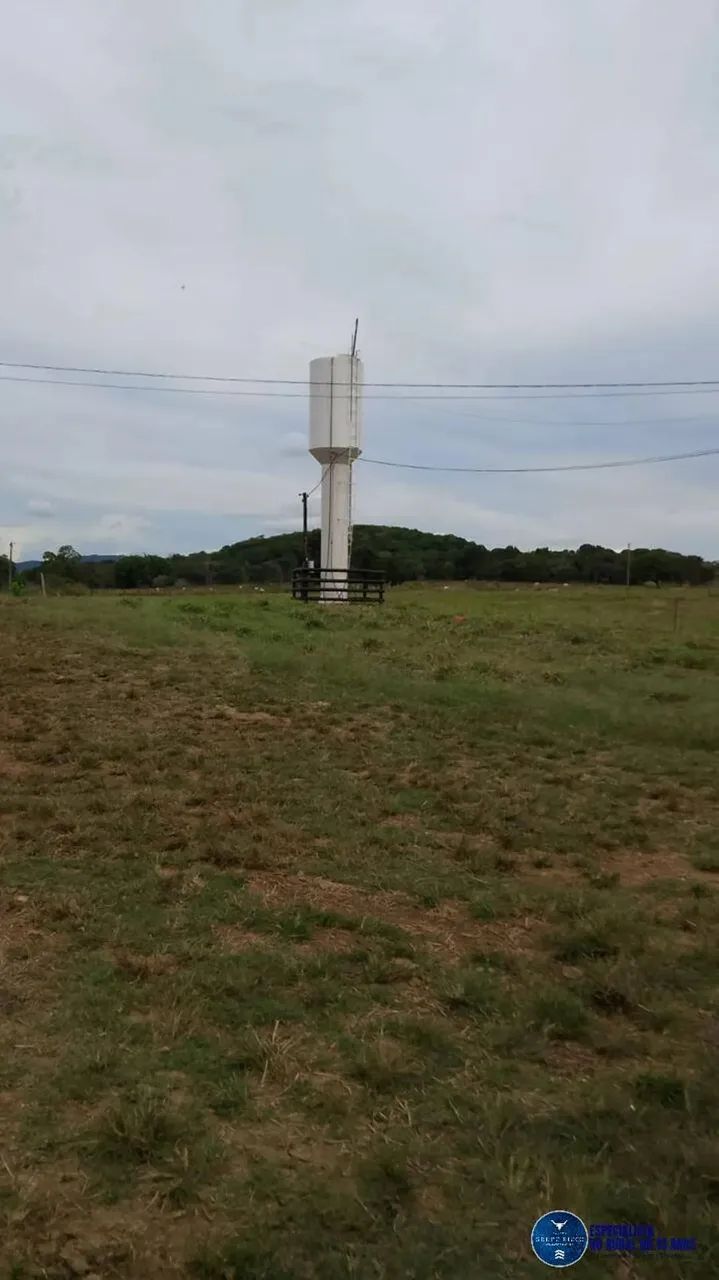 Chácara em Mairipotaba, Goiás com 5 alqueires - Foto 3