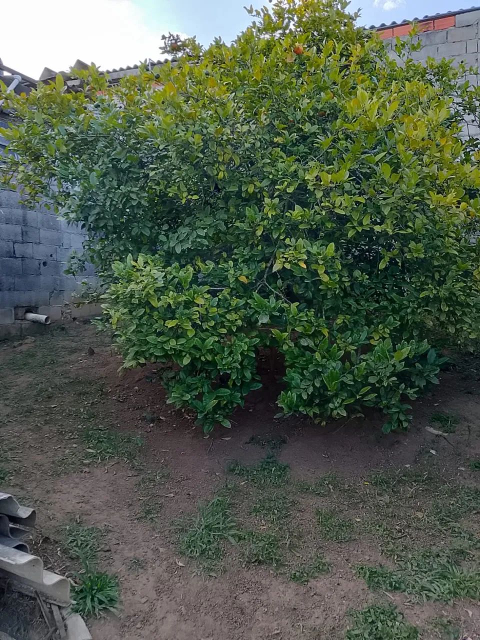 Primeira imagem do imóvel