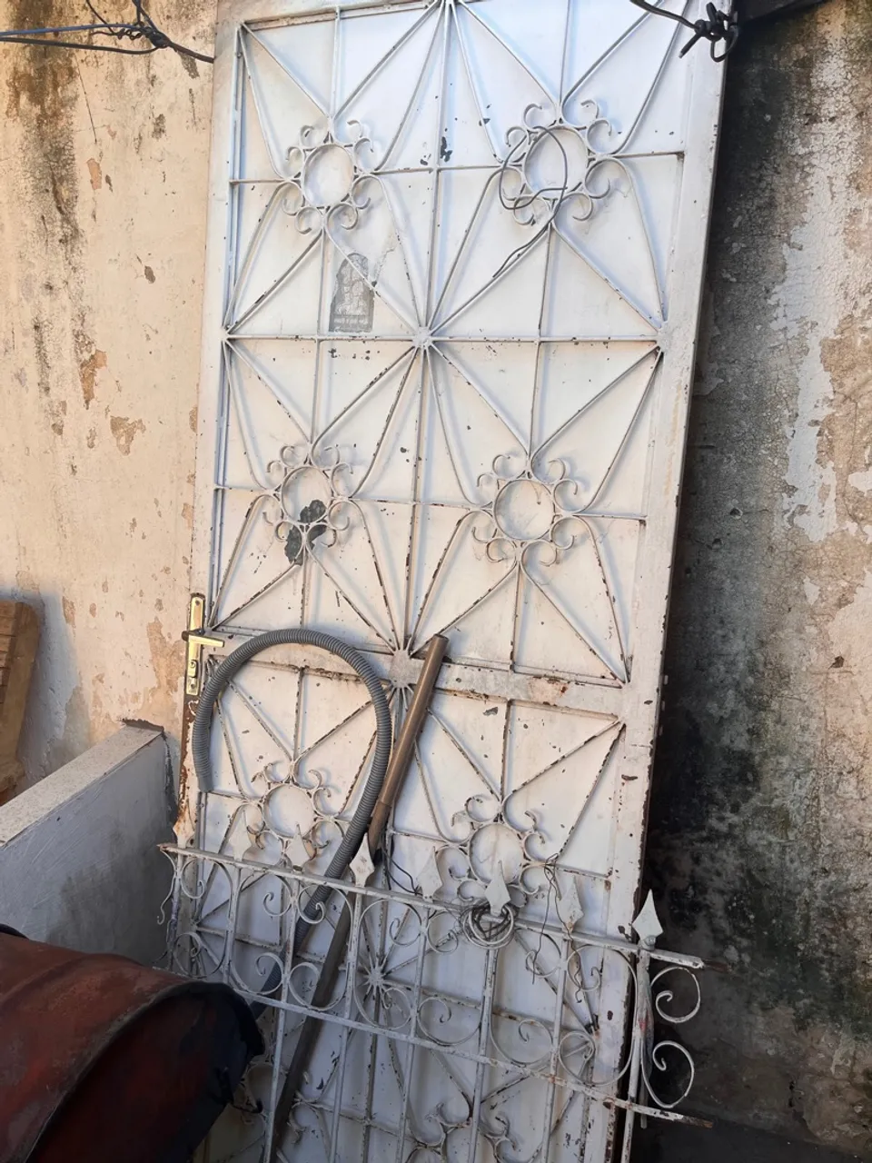 Porta de Ferro com Design Ornamental