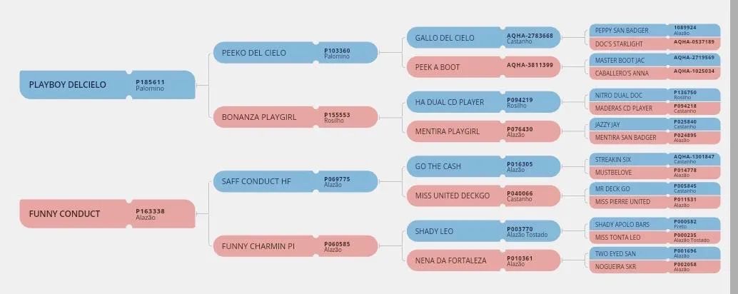 Potra Quarto de Milha Pura!  - Foto 5