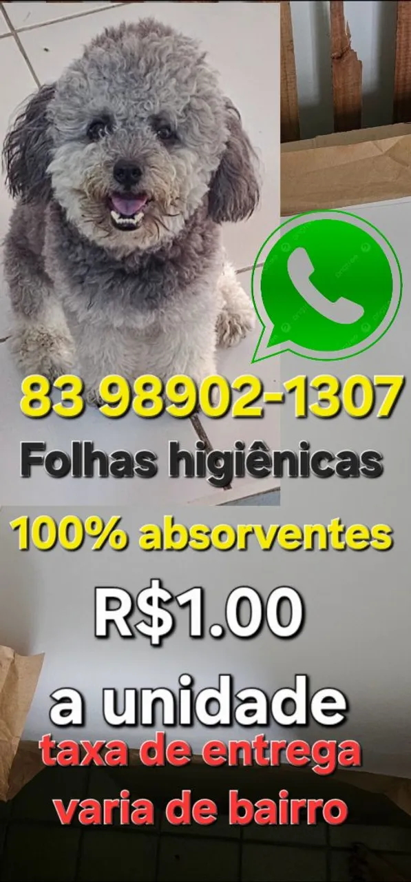 Jornal higiênico para pets - R$1,00 a uni jornal pet pronta entrega folhas para xixi